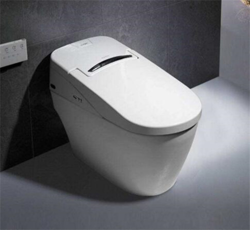坐便器價格一般是什么價位，坐便器選購技巧是什么?